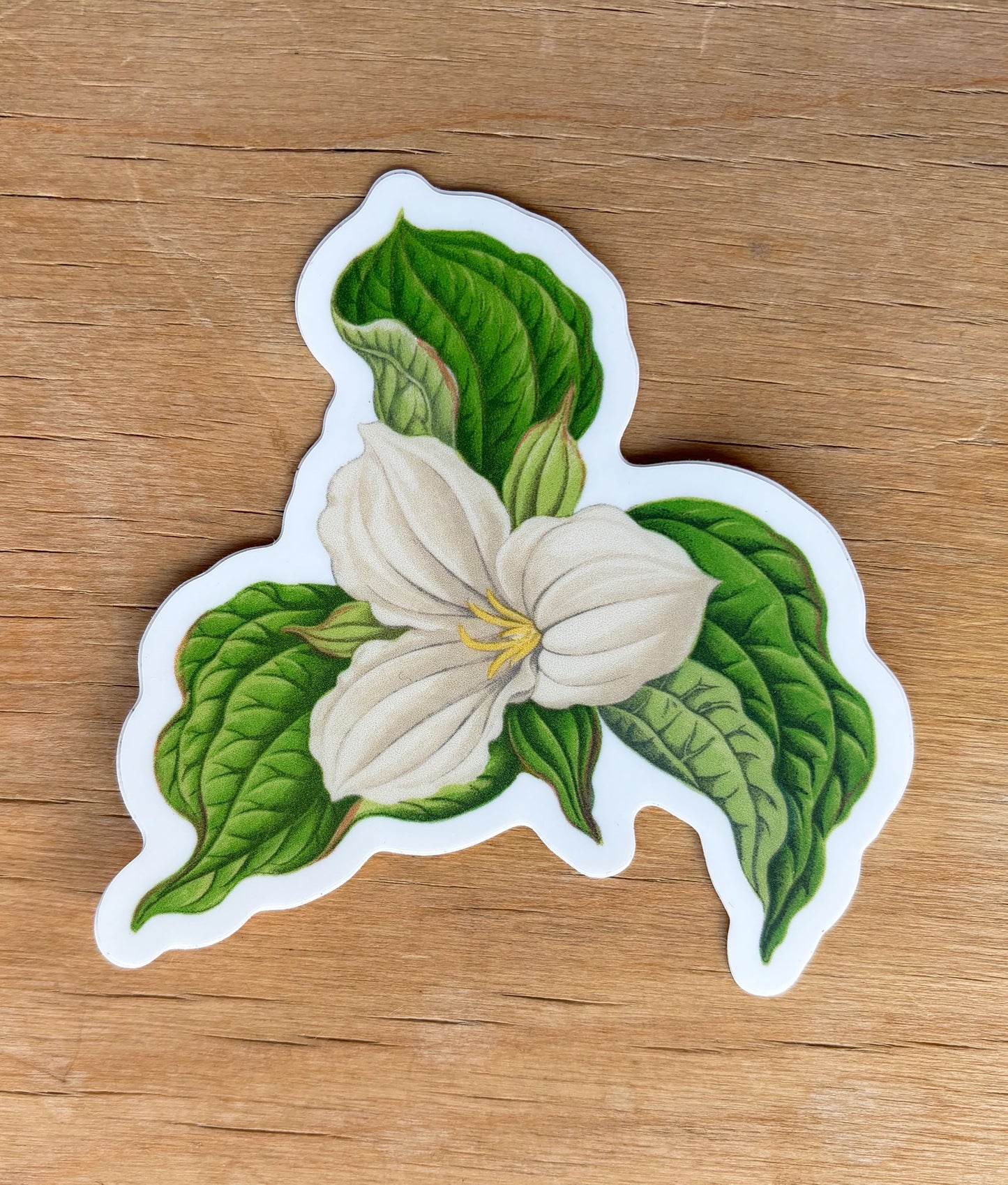 Trillium - vinyl sticker