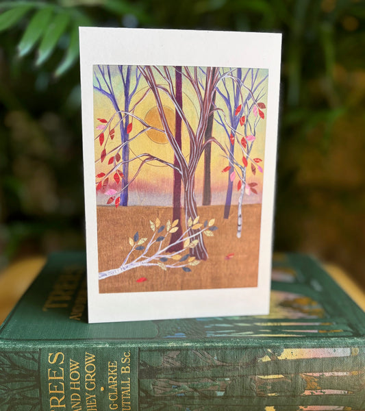 An Unfathomable Loss postcard