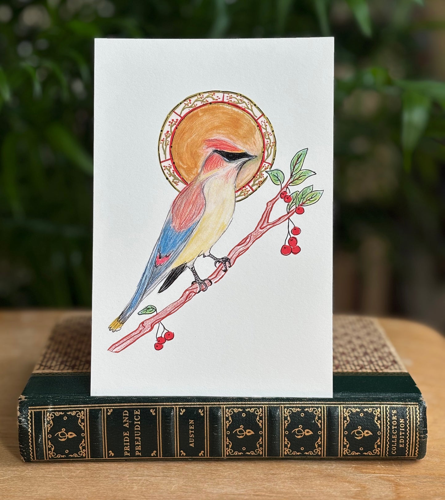 Cedar Waxwing - postcard