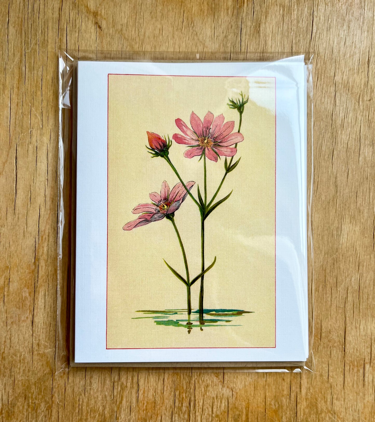 Wild flowers of America - greeting card 4 pack (pink varieties)