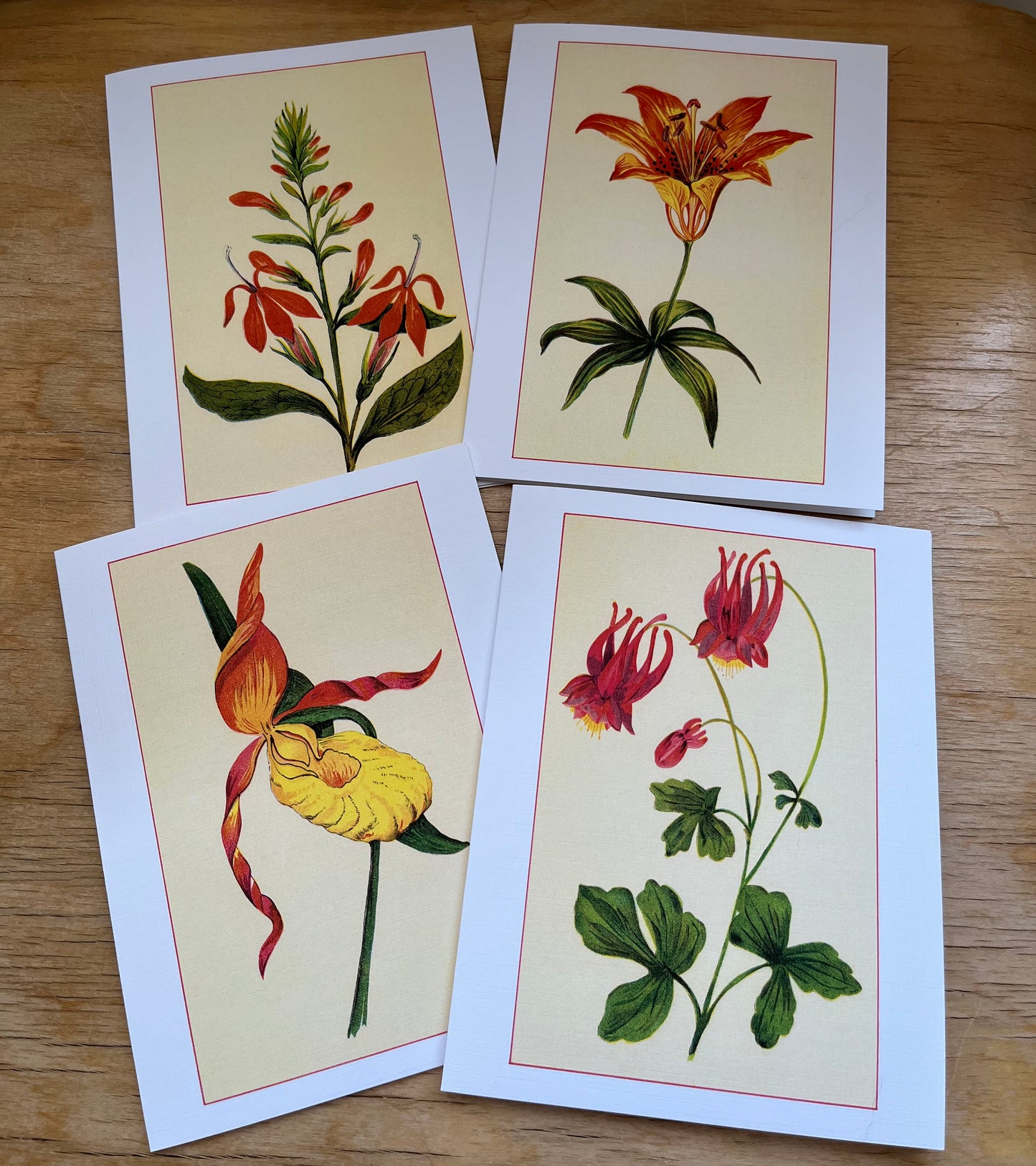 Wild flowers of America - greeting card 4 pack (red varieties)