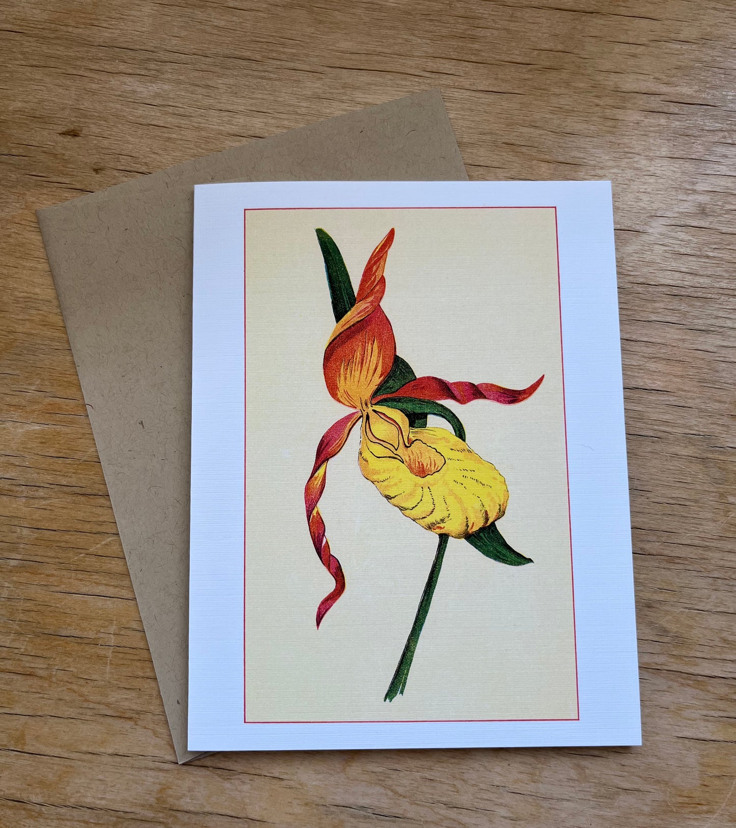 Wild flowers of America - greeting card 4 pack (red varieties)