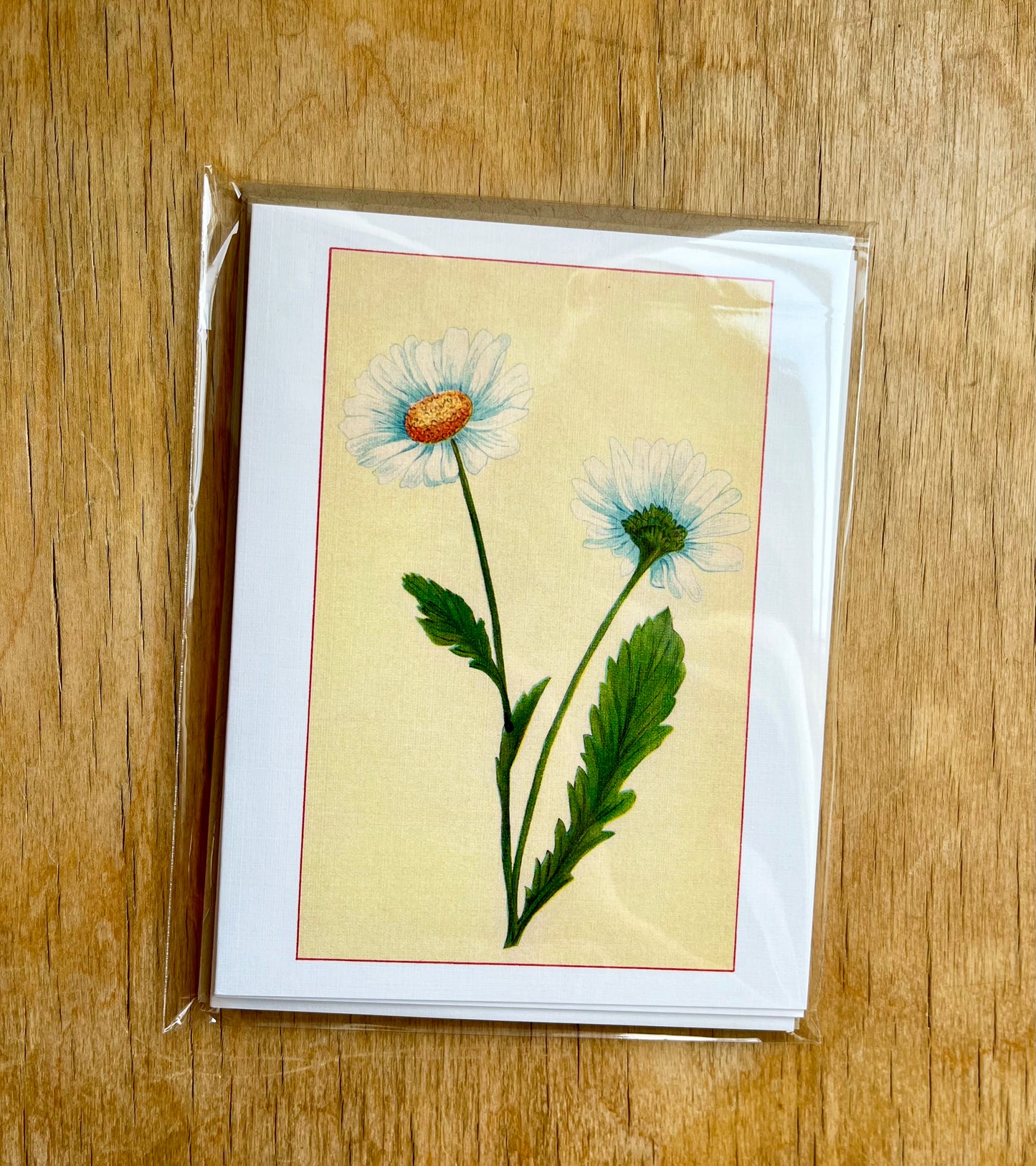 Wild flowers of America - greeting card 4 pack (white varieties)